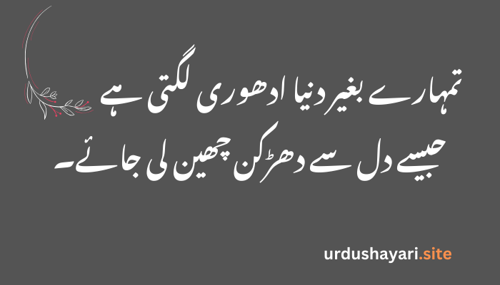 20+ Best Love Shayari in Urdu 2025 | Heart-Touching Poetry