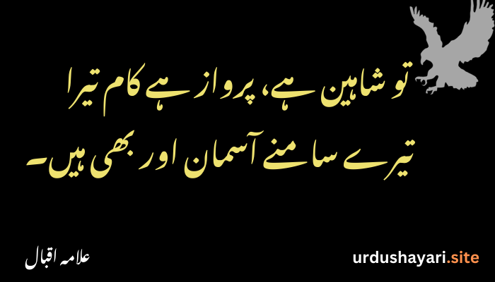 Allama Iqbal Shayari & Urdu Poetry | Heart-Touching Verses
