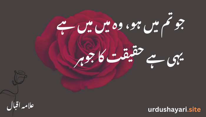 Allama Iqbal Shayari and Urdu Poetry | Heart-Touching Verses
