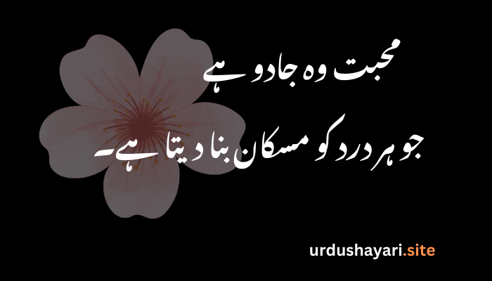 20+ Best Love Shayari in Urdu 2025 | Heart-Touching Poetry