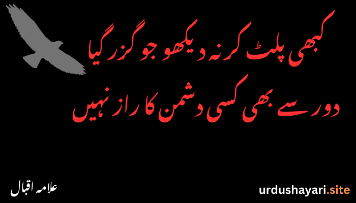 Allama Iqbal Shayari and Urdu Poetry | Heart-Touching Verses
